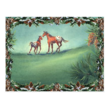 APPALOOSA SPOTS by SHARON SHARPE Post Card
