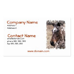 Appaloosa Stallion Business Card