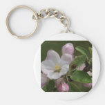 apple blossom and a lady bug keychain