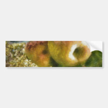 Apple Bumper Stickers
