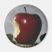 Apple Refrigerator Magnet