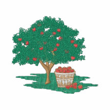 Apple Tree