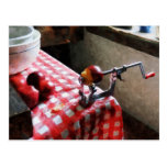 Apples and Apple Peeler Post Cards