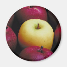 Apples Fridge Magnet