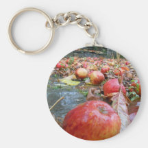 Apples Keychains