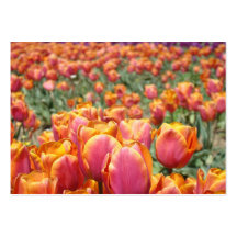 Appointment Cards custom Colourful Tulip Flowers Business Card Template