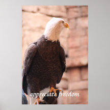Appreciate Freedom Eagle Poster