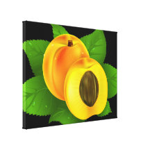Apricot Gallery Wrapped Canvas