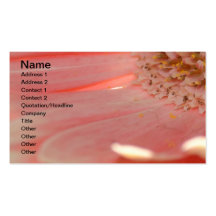 Apricot Gerbera Business Card Template