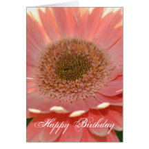 Apricot Gerbera Greeting Card