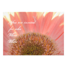 Apricot Gerbera- Invitation