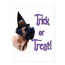 Apricot Mastiff Trick Postcard