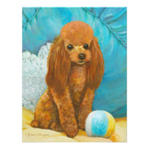 Apricot Red Poodle with Ball Personalized Announcement