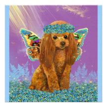 Apricot Red Poodle with Fairy Wings Announcements