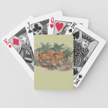 apricotts deck of cards