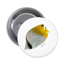 Aquarium Fish Collection by FishTs.com Button