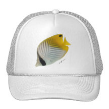 Aquarium Fish Collection by FishTs.com Hats