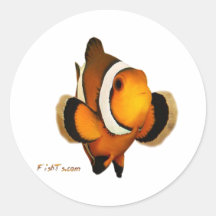 Aquarium Fish Collection by FishTs.com Sticker