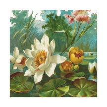 Aquatic Flower  Premium Wrapped Canvas (Gloss) Stretched Canvas Prints