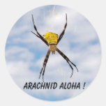 Arachnid Aloha Hawaiian Garden Spider Round Stickers