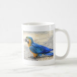 Arara, the real Carioca, Rio de Janeiro Citizen mugs