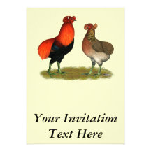 Araucana Red Pair Announcement