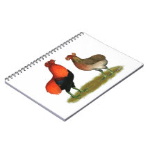 Araucana Red Pair Note Books