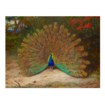 Archibald Thorburn Peacock Postcards