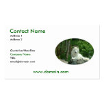 Arctic Wolf Business Card