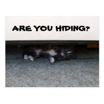 ARE YOU HIDING? postcard