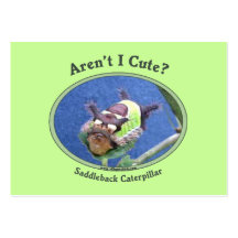 Aren't I Cute Bug Caterpillar Business Cards