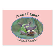 Aren't I Cute Caterpillar Bug Business Card Template
