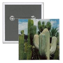 Arizona Cactus Pinback Buttons