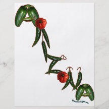 Arizona Chilli Peppers Full Color Flyer