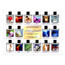 Aroma Blends (.net) Post Cards