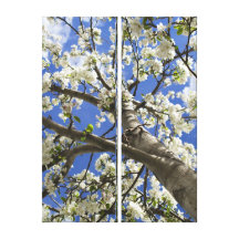 ArtColorado FloweringTree Stretched Canvas Print