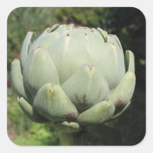 Artichoke Plant. Stickers