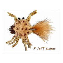 Artificial Bait Post Cards
