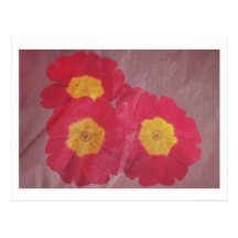 Artistic pink flowers blended with subtle textures post cards