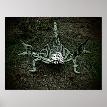 Artistic scorpion decorative poster
