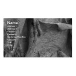 Ash Business Card