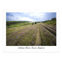 Ashdown Forest Post Cards