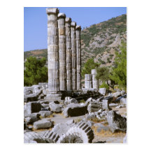 Asia, Middle East, Turkey, Ephesus. Temple of Post Card