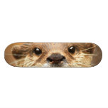 Asian Small Clawed Otter Custom Skate Board