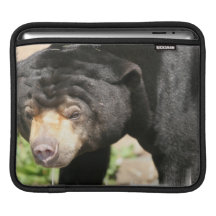 Asiatic Bear iPad Case Sleeve For iPads