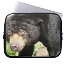 Asiatic Bear Laptop Sleeve