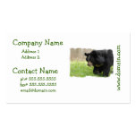 Asiatic Black Bear Business Cards business cards