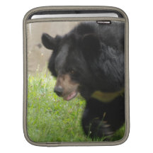 Asiatic Black Bear iPad Sleeve