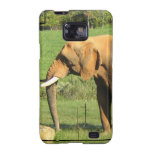 Asiatic Elephants Samsung Galaxy Case