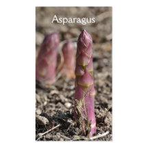 Asparagus business card